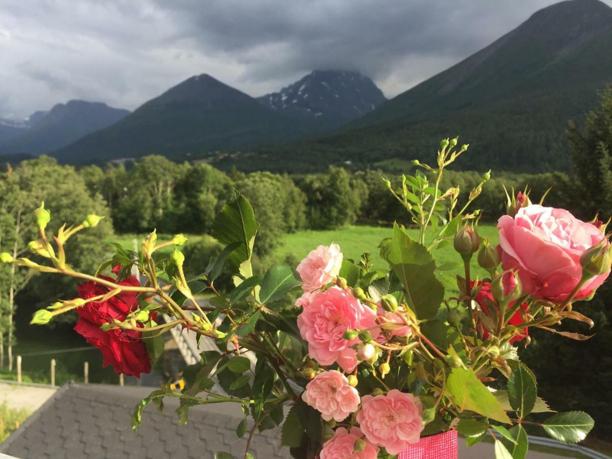 Apartment Dreamvalley Isfjorden Bagian luar foto